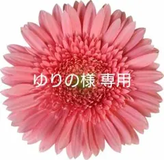 【匿名配送】ゆりの様専用