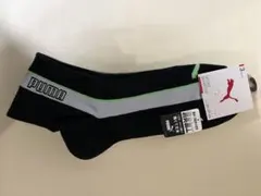 Item thumbnail for item 0f4f3d4e-e48a-4fd0-a6bc-c0b255b4fe4c