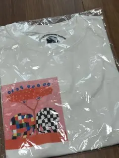 skeegee Tシャツ 110cm 新品 返品不可のサムネイル