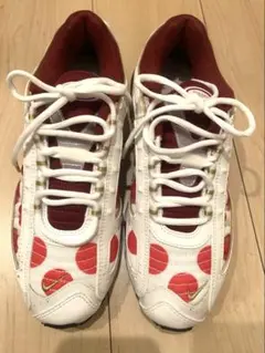 NIKE AIR MAX NIPPON Design