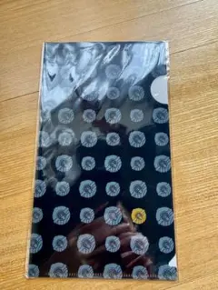 ポケモン アルセウス クリアファイル