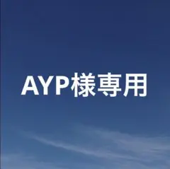 AYP☆プロフィール文は開いて読んで❣様 リクエスト 2点 まとめ商品