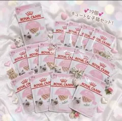 ロイヤルカナン　子猫　kitten ローフ　パウチ85g19個のサムネイル