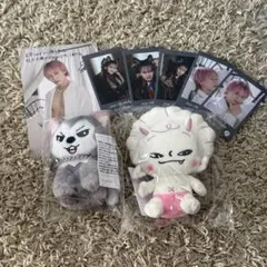 スンミン コレクトブック スキズ パピム PuppyM SKZ トレカケース