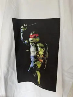 Item thumbnail for item 1d20d563-6d01-4d10-8ac2-3bac7e7f9300