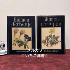 ◇council オークションカタログ 2011.6 中国家具◇ - メルカリ
