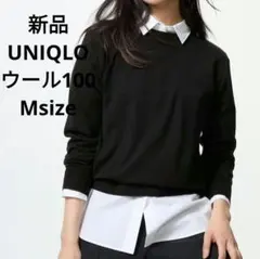 Item thumbnail for item a722426b-89d1-403a-b540-62b2c67dcf01