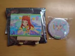 虹野ゆめ 結城すばる 缶バッジ アイカツ！スターズ チェスクッキーB