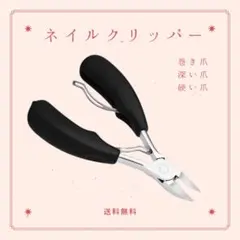 Item thumbnail for item 30604fa2-76d3-419a-a5a3-3e8178b82d35