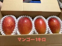 完熟マンゴー 1kg 詰め合わせのサムネイル