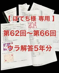 臨床検査技師国家試験ウラ解答集/ぽてち様専用/62〜66回