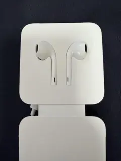 Apple EarPods Lightning Connector 有線イヤホン