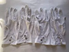 Item thumbnail for item 8b54b052-387f-4f8c-b40f-4c7f6d4e4698