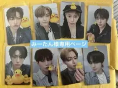 みーたん様専用ページ