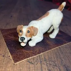 castagna　ドッグ　イタリア　犬　アクション　脈動感