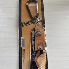 ハイキュー 日向翔陽