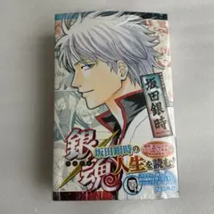 銀魂 坂田銀時 キャラクターリミックス