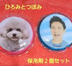 郷ひろみ 保冷剤２個セット
