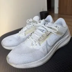 ナイキ メンズ エア ズーム ペガサス40 27.5cm DV3853