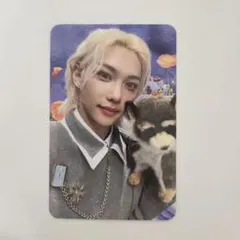 2026年最新】STAY zone トレカの人気アイテム - メルカリ