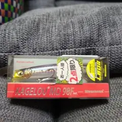 Item thumbnail for item 7dafc9ec-1e1c-4144-a696-5877aa6b17c2