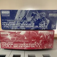 ガンプラまとめ売り MGドワッジ改MGリガズィカスタムHGシャリア専用