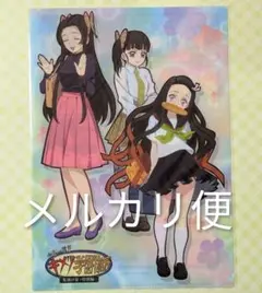 鬼滅の刃　クリアファイル　キメツ学園　胡蝶カナエ　栗花落カナヲ　禰豆子　冨岡義勇 鬼滅の刃 クリアファイル キメツ学園 胡蝶カナエ 栗花落カナヲ 禰豆子