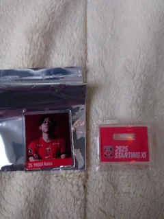 Item thumbnail for item 2bc367ab-7450-4a3c-acaf-aa1b521c7ce8