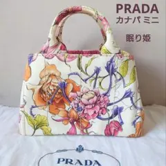PRADA プラダ カナパ 眠り姫 バッグ トライアングルロゴ コミック ピンク