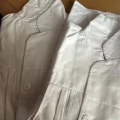 Item thumbnail for item 930ba014-c025-4cb6-996a-75705eb38c86