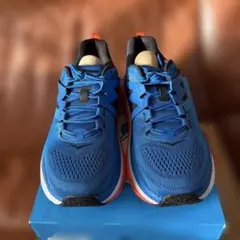 中古 ミズノエナジー2025 MIZUNO ミャクミャクスニーカー 25センチ 