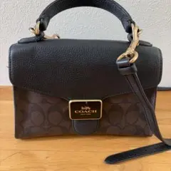 か*氷様 Coach ショルダーバッグ ブラウン/ブラック - メルカリ