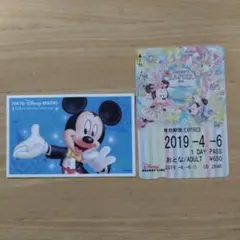 東京ディズニーリゾート 30周年記念 ディズニーリゾートライン 2DAY