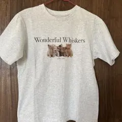 ユニクロ☆ネコちゃんTシャツ　M