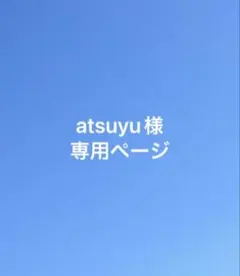 Atsuyu様専用ページ　確認お願いします