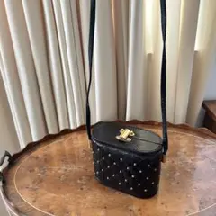 フランスアンティークショップ購入リザード、バニティ型ポシェット斜めがけショルダー