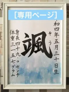 ［専用ページ］額付手書きオーダー命名書　ブルー　ピンク