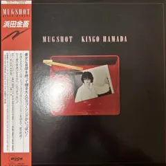専用 アーシアン2 LP 高河ゆん 浜田金吾 AOR シティポップ 濱田金吾 (浜田金吾) KINGO HAMADA / ハートカクテル HEART