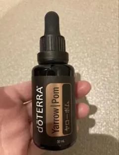 2026年最新】ヤローポムの人気アイテム - メルカリ