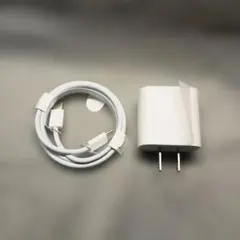 iPad アイパッド 純正 新品 ホワイト USB-C 電源アダプターとケーブル