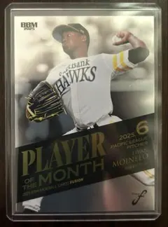 Item thumbnail for item 989670b9-9876-47f0-a485-2393f34b409e