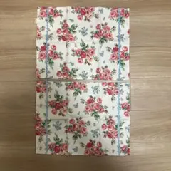 Item thumbnail for item 459bb43d-c41f-48be-b7ac-6c64185ec042