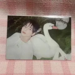 TXT Cafe Starkissed ポストカード　テヒョン　トゥバ　カフェ