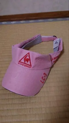 EcopSport ピンクバイザー