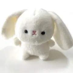 【極美品】たれ耳 うさぎ ぬいぐるみ ホワイト ふわふわ 白