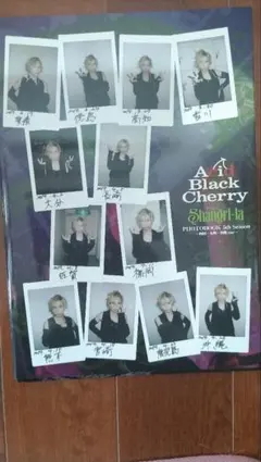 2026年最新】Acid Black Cherry写真集の人気アイテム - メルカリ