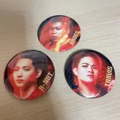 BATTLE OF TOKYO 缶バッジ  THE RAMPAGE まとめ売り