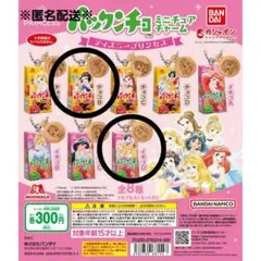 パックンチョ ミニチュアチャーム シンデレラプリンセス