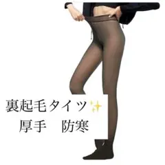 透け感タイツ✨裏起毛　ストッキング風　レディースタイツ厚手　防寒300g
