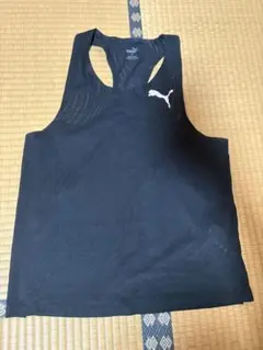 Item thumbnail for item 6fb8abd3-3015-48a3-a69c-b04efa9fae19